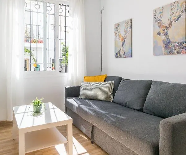 Modern Studio